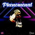 cover: Lion Paw - Phenomenal