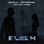 cover: Blezh|Gunel Veyisova - You Are Mine