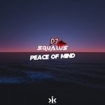 cover: Dj Squalus - Peace Of Mind