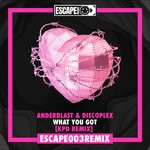 cover: Anderblast|Discoplex - What You Got