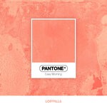 cover: Pantone - Easy Morning