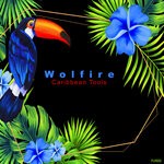 cover: Wolfire - Caribbean Tools