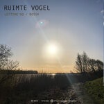 cover: Ruimte Vogel - Letting Go / Bossa