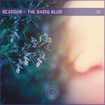 cover: Acidova - The Shine Blur