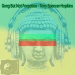 cover: Terry Spencer-hopkins - Gong But Not Forgotten (Chilled Mix)