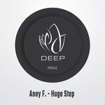 cover: Aney F. - Huge Step