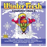 cover: Various - Winter Fresh Volume 3