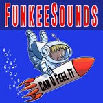 cover: Funkeesounds - Can U Feel It