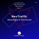 cover: Neotraffic - Moonlight In The Forest