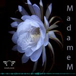 cover: Madame M - Night Effect