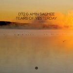 cover: Amin Salmee|D72 - Tears Of Yesterday (Extended Mix)