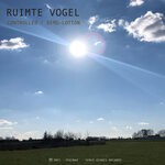 cover: Ruimte Vogel - Controlled / Demo-Lotion