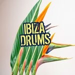 cover: Elekplunkinkantk|Jason Rivas|Organic Noise From Ibiza|Positive Feeling - Ibiza Drums