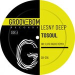 cover: Lesny Deep - ToSoul (Inc Luis Radio Remix)