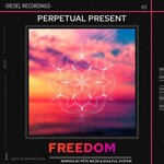 cover: Perpetual Present - Freedom