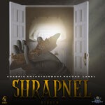 cover: Briayanna Trending - Shrapnel (Riddim)