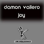 cover: Damon Vallero - Joy