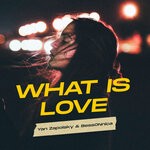 cover: Bessonnica|Yan Zapolsky - What Is Love