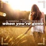 cover: Dj Diamond|Pedro Feder Dj - When You'Re Gone