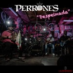 cover: Perrones - Despeinada