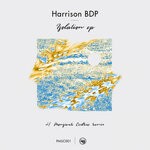 cover: Harrison Bdp - Isolation