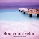 cover: Various - Electronic Relax (100% Ambient Grooves)