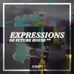 cover: Various - Expressions Of Future House Vol 30