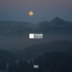 cover: Fugaru - Cold Reality