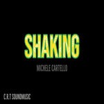 cover: Michele Cartello - Shaking