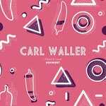 cover: Carl Waller - I Need A Lover (Extended Mix)