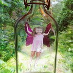 cover: International Hoods - Fairy In A Bottle