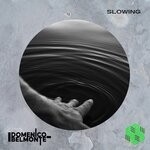 cover: Domenico Belmonte - Slowing