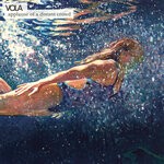 cover: Vola - Applause Of A Distant Crowd