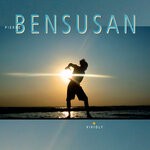 cover: Pierre Bensusan - Vividly