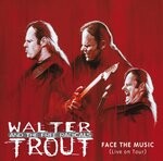 cover: Walter Trout - Face The Music (Live On Tour)