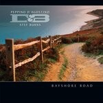 cover: Peppino D'agostino|Stef Burns - Bayshore Road