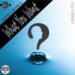 cover: Gianmarco Staccone Dj - What You Want (Extended Mix)