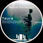 cover: Fpacheco - Wave Funktion