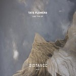 cover: Tate Flowers - Like This EP