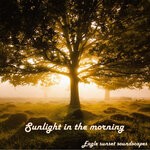 cover: Eagle Sunset Soundscapes - Sunlight In The Morning