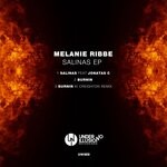 cover: Melanie Ribbe - Salinas