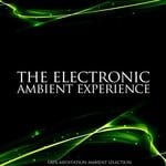 cover: Various - The Electronic Ambient Experience (100% Meditation Ambient Selection)