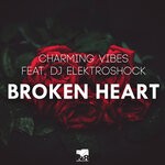 cover: Charming Vibes - Broken Heart