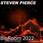 cover: Steven Pierce - BigRoom 2022 (Need U Tonight)