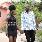 cover: Roy Burns - Never Give You Up