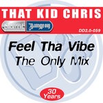 cover: That Kid Chris - Feel Tha Vibe