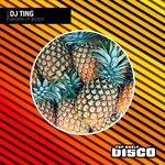 cover: Dj Ting - Work It Body