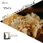 cover: Various - Phenomenal Stock Vol 3