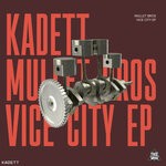 cover: Mullet Bros - Vice City