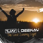 cover: Deekay|T-jay - The Last Saving Light